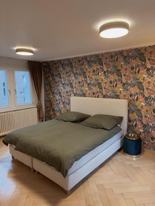 Suesse Wohnung In Zuercher Altstadt 3 Zürich Exterior foto